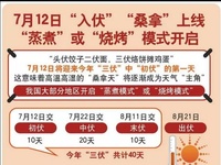 三伏天养生攻略