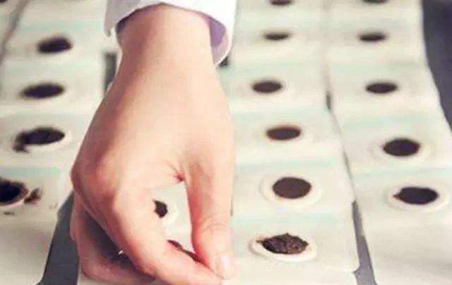 三伏灸▏三伏至，科学养生“治未病”