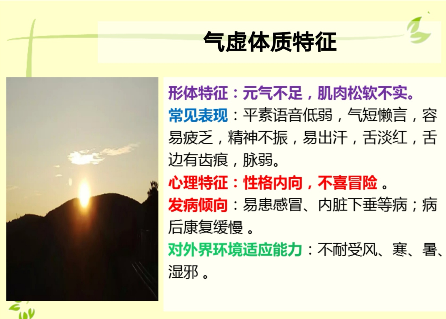 体质养生调理之气虚体质