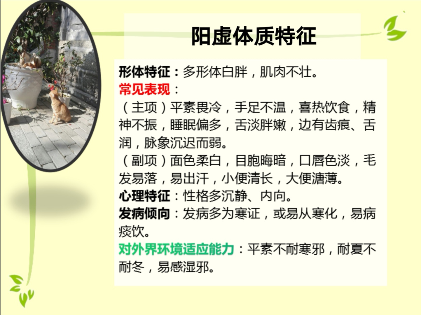 体质养生调理之阳虚体质