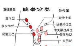 消失的“蛋蛋”去哪儿了 消失的“蛋蛋”去哪儿了