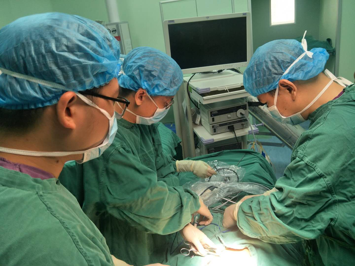 消失的“蛋蛋”去哪儿了