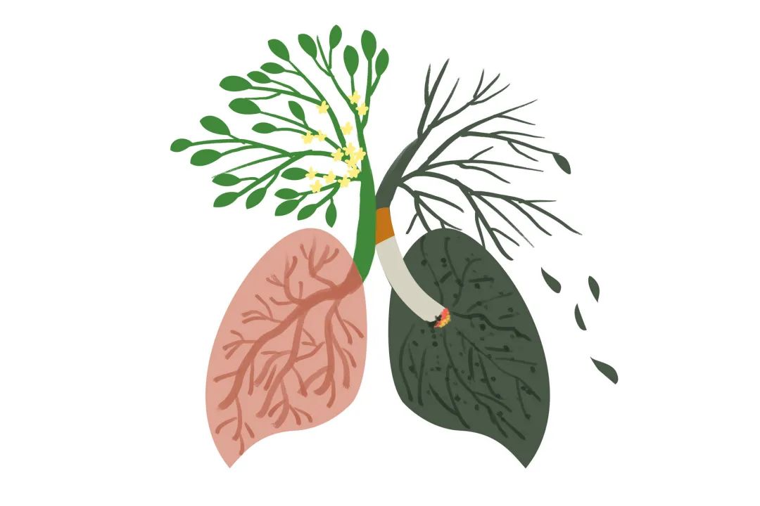 承诺戒烟 共享无烟环境