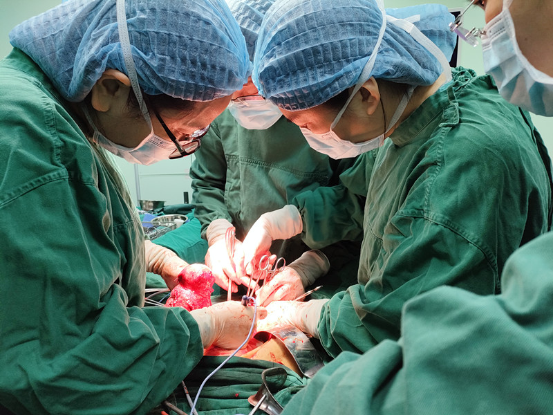 福建省妇科肿瘤防治联盟漳州基地在我院正式挂牌启动！