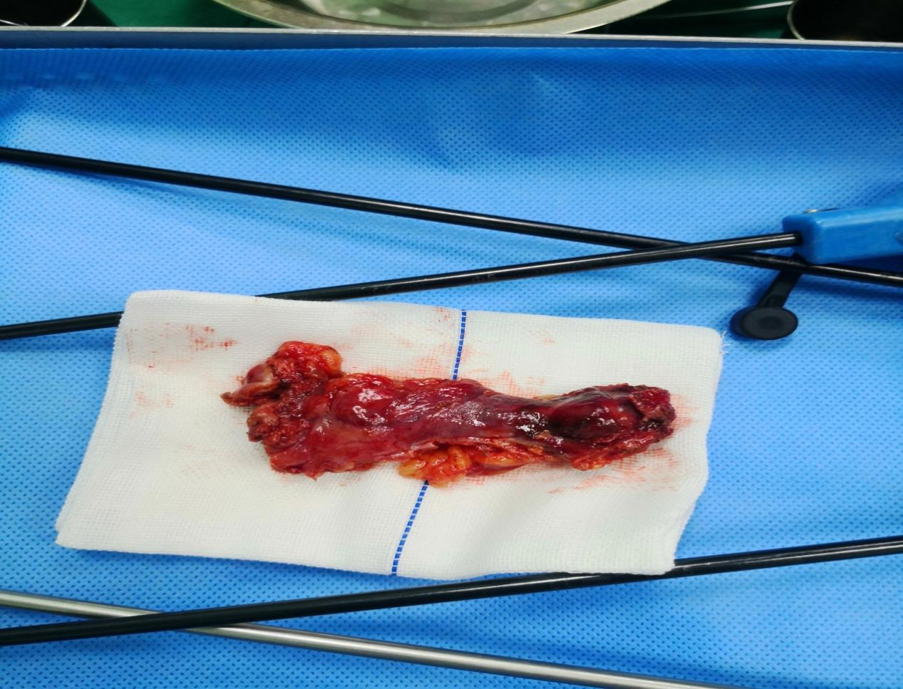 图片3.jpg 图片3.jpg