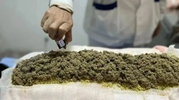 “绿色外治”服务百姓 发挥中医药特色优势