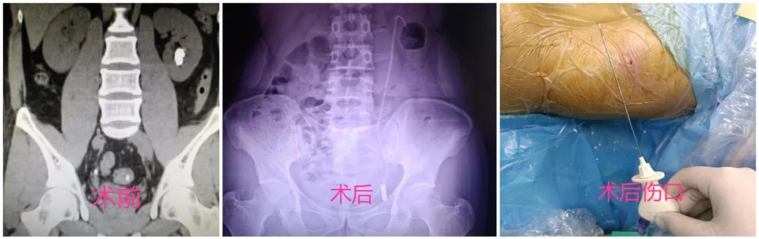 微信图片_20230515091312.jpg