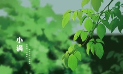 小满将至，如何养生？