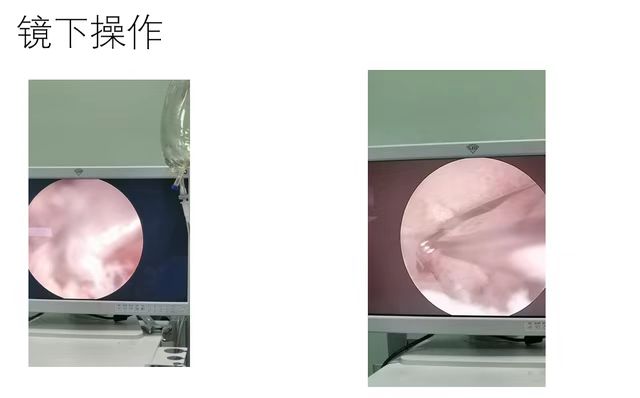 微信图片_202307061022555.jpg