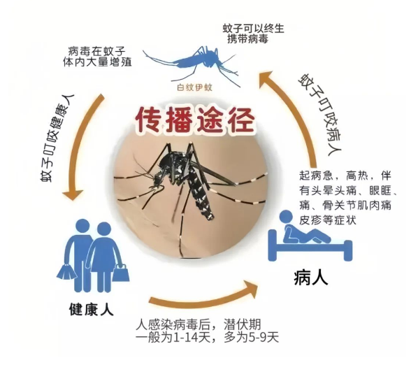 微信图片_20230911104225_2.png