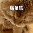 折腾娃的“肺炎支原体”究竟是啥？该如何防治
