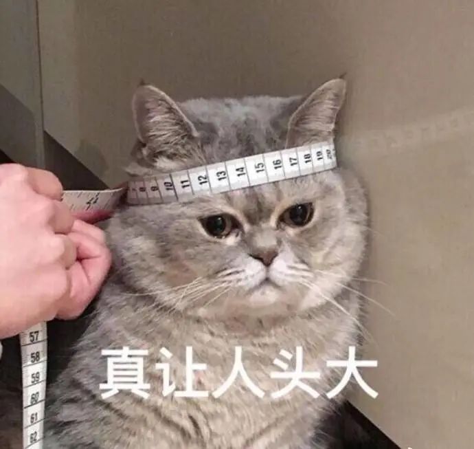 图片8.jpg
