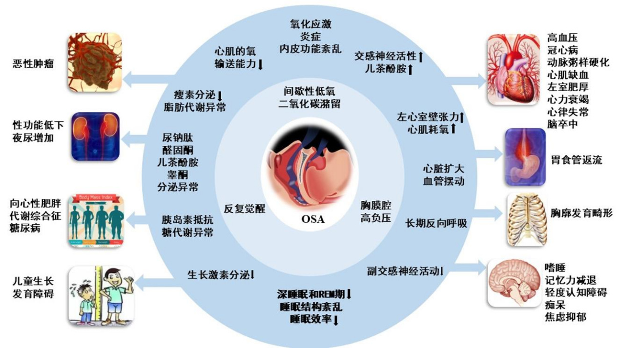 微信图片_20240116152228.jpg