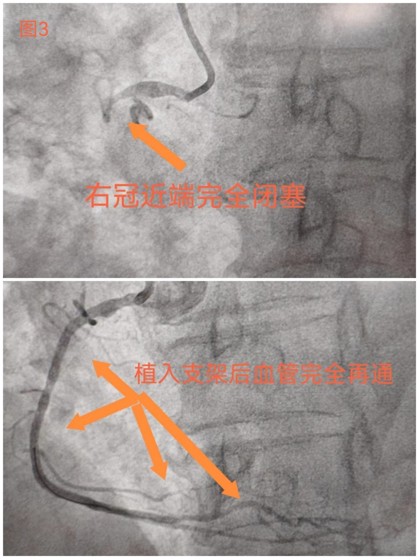 微信图片_20240726102505.jpg 微信图片_20240726102505.jpg