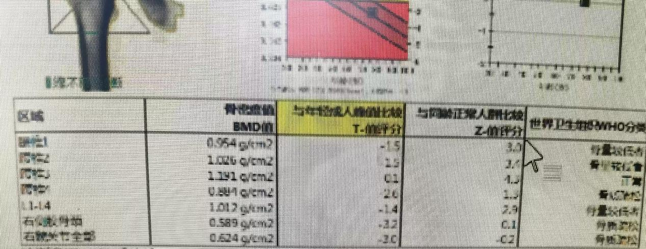 图片2.jpg 图片2.jpg
