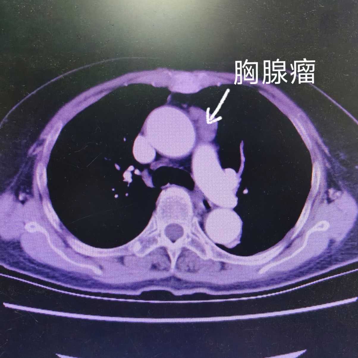 微信图片_20250407084546.jpg 微信图片_20250407084546.jpg