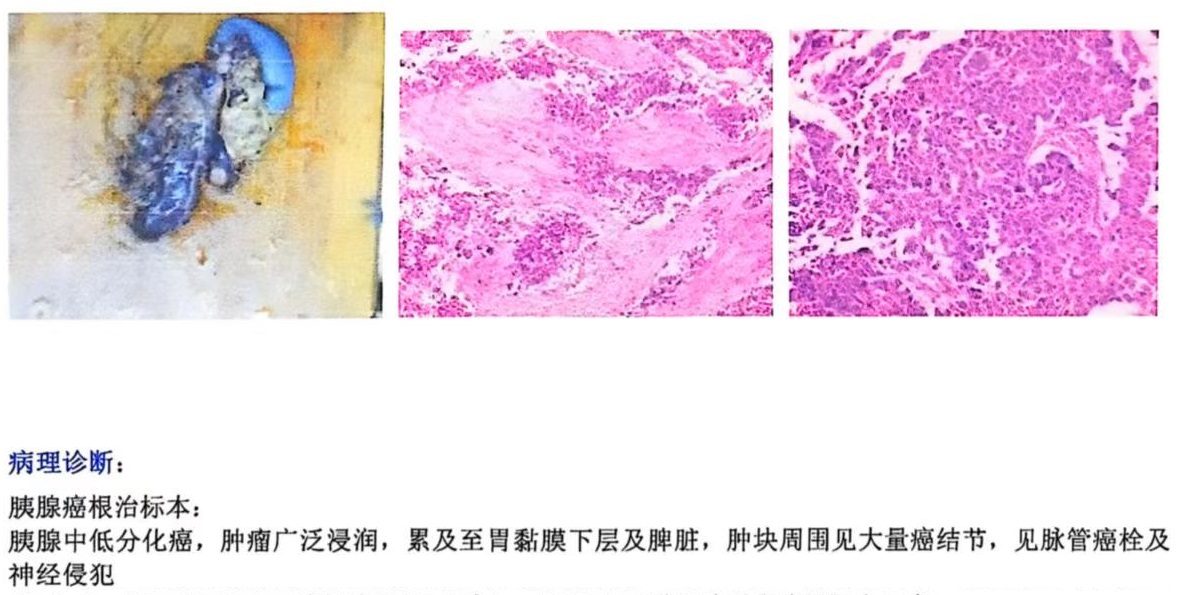 微信图片_20251017172526_1870_208.jpg 微信图片_20251017172526_1870_208.jpg
