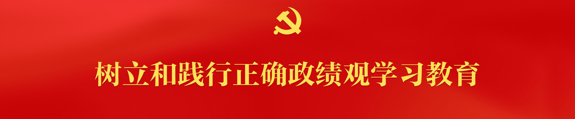 树立和践行正确政绩观学习教育